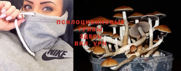 прущие крисы Красноперекопск